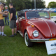 Illustration for article titled Here Are Some Of The Incredible Cars Of The Bear Mountain Car Cruise